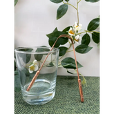 Premium Tongue Cleaner - Arm