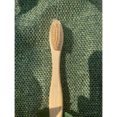 Compostable Toothbrush