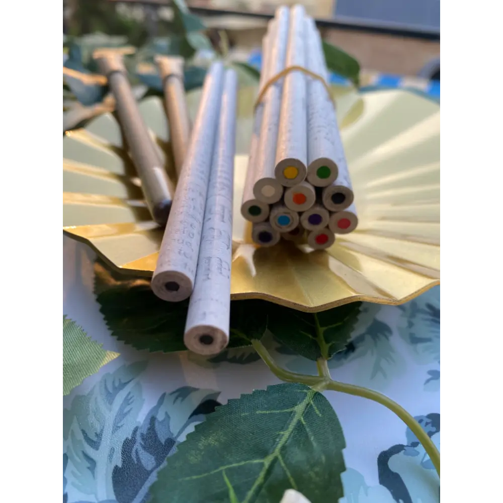 Creative kit -Color Pencils + 2 pencils + 2 pens