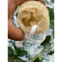 Loofah With Hanging Ring