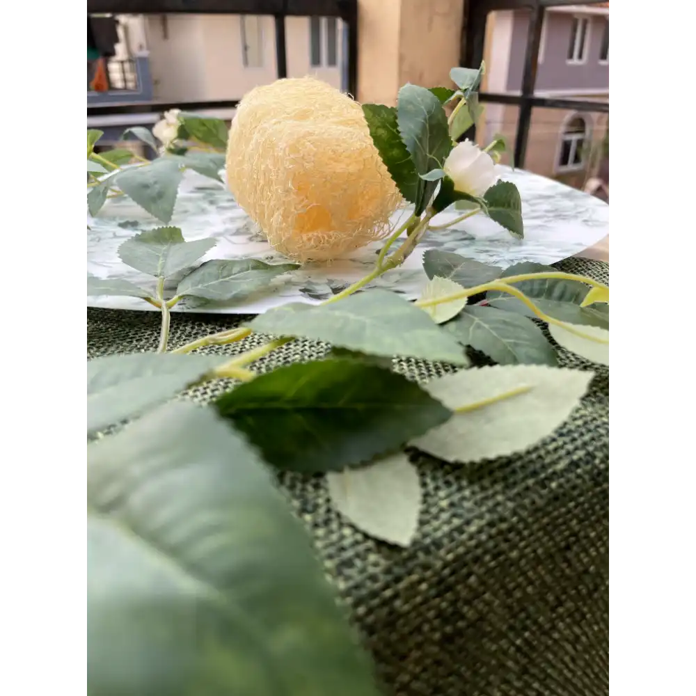 Loofah With Hanging Ring