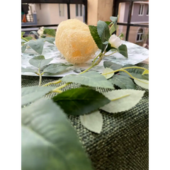Loofah With Hanging Ring