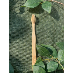 Compostable Toothbrush