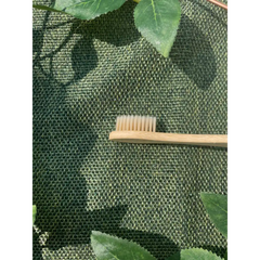 Compostable Toothbrush
