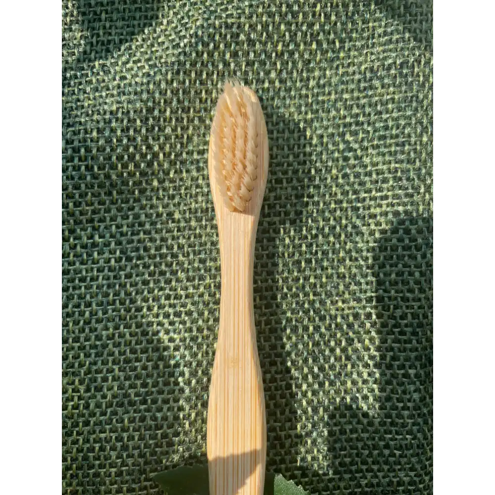 Compostable Toothbrush