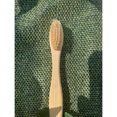 Compostable Toothbrush