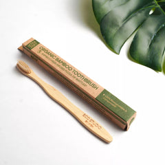 Compostable Toothbrush