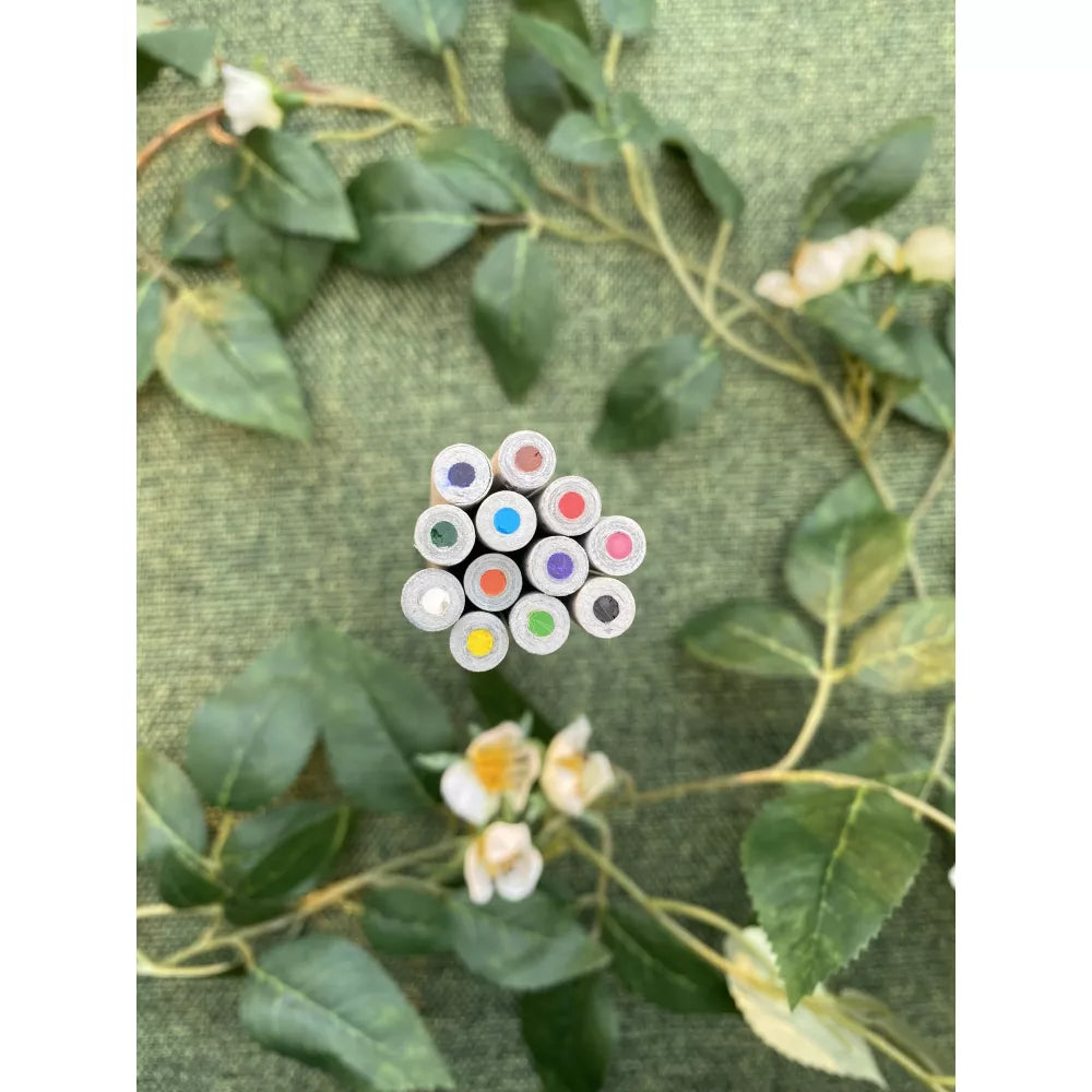 Color pencils set of 12