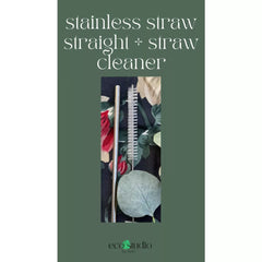 Stainless straw straight + straw cleaner