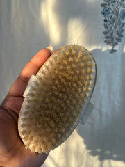 Dry Brushing Body Brush – Natural Bristles for Cellulite & Lymphatic Drainage - oval
