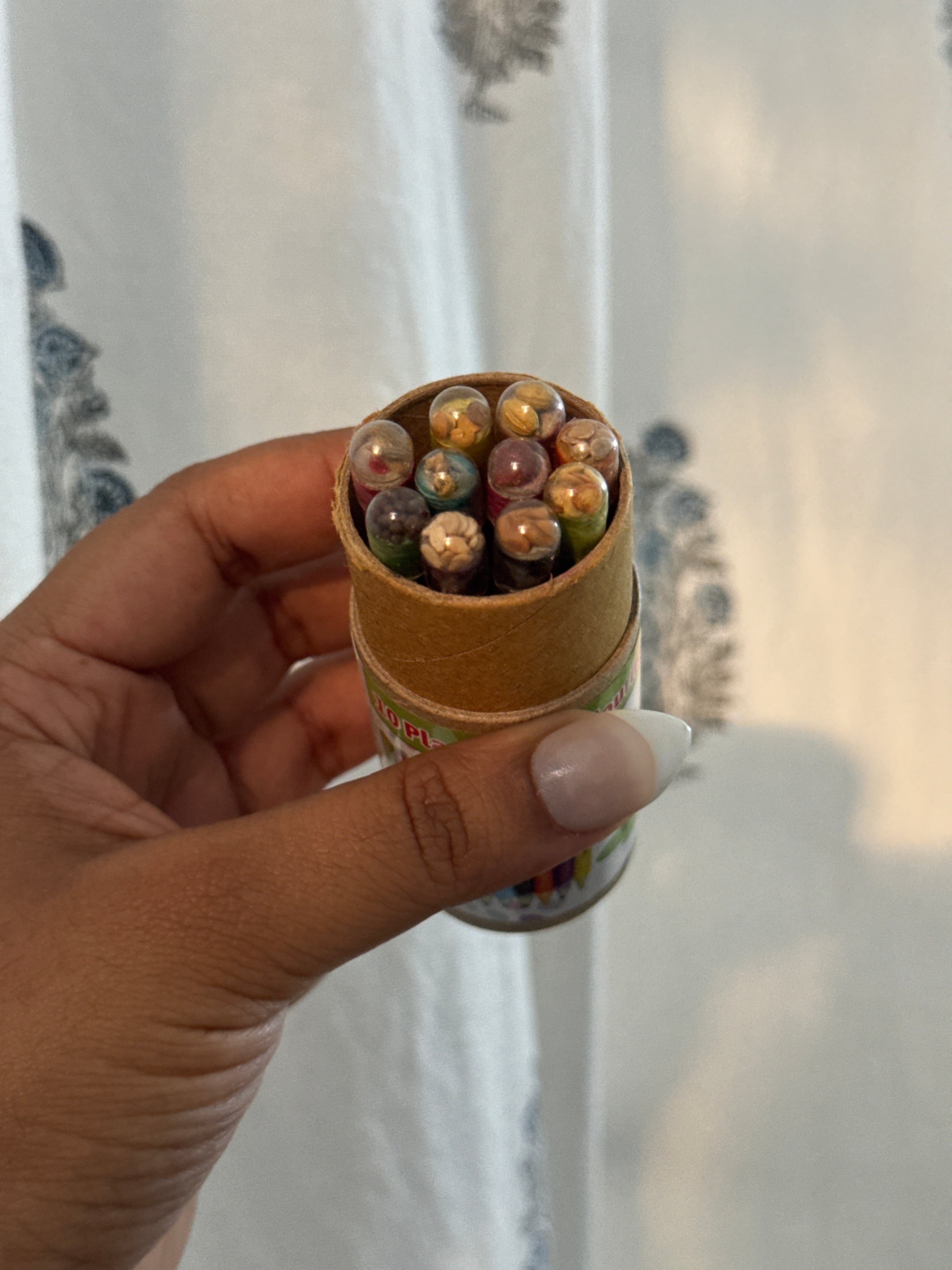 Eco friendly Seed Color Pencils Set Of 10 - Sustainable color pencils