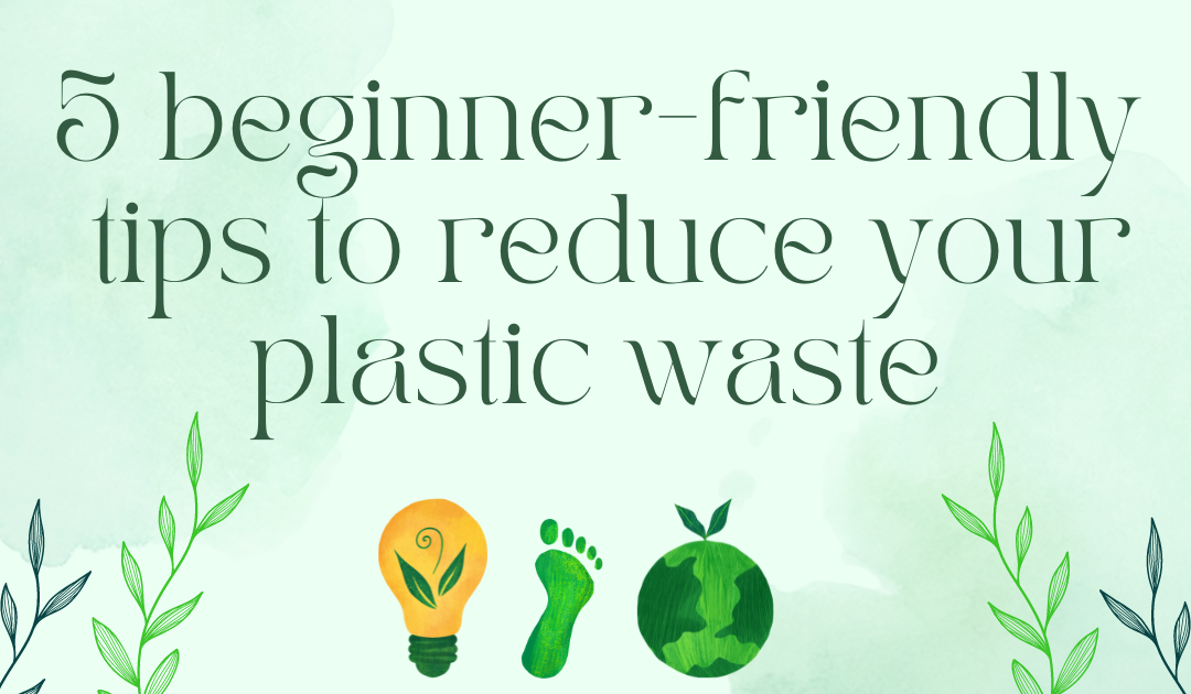 5 Super easy Zero waste tips for starters in India (reaaally easy!)